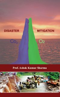 Produktbild: Disaster Mitigation