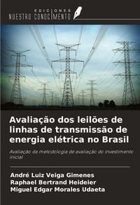 Produktbild: Avalia&ccedil;&atilde;o dos leil&otilde;es de linhas de transmiss&atilde;o de energia el&eacute;trica no Brasil