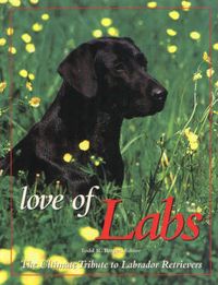 Produktbild: Love of Labs