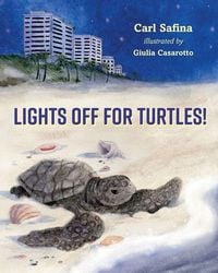 Produktbild: Lights Off for Turtles!