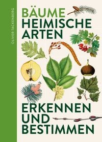 Produktbild: B&auml;ume