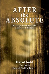 Produktbild: After the Absolute