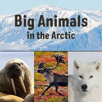 Produktbild: Big Animals in the Arctic