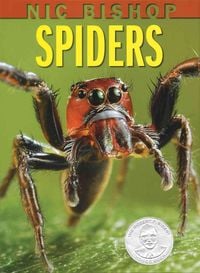 Produktbild: Nic Bishop: Spiders
