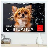Produktbild: Chihuahua - kleine Energieb&uuml;ndel (hochwertiger Premium Wandkalender 2026 DIN A2 quer), Kunstdruck in Hochglanz