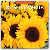 Produktbild: Sunflowers &ndash; Sonnenblumen 2026 &ndash; 16-Monatskalender