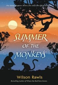 Produktbild: Summer of the Monkeys