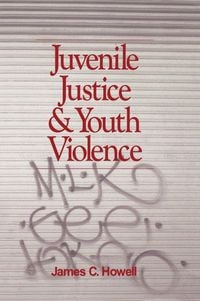 Produktbild: Juvenile Justice and Youth Violence