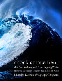 Produktbild: Shock Amazement