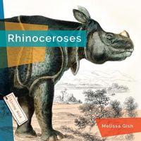 Produktbild: Rhinoceroses