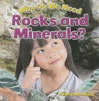 Produktbild: Why Do We Need Rocks and Minerals?
