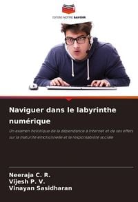 Produktbild: Naviguer dans le labyrinthe num&eacute;rique