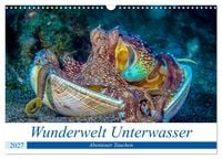 Produktbild: Wunderwelt Unterwasser (Wandkalender 2027 DIN A3 quer), CALVENDO Monatskalender