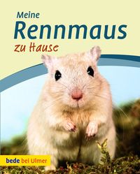 Bild vom Artikel Meine Rennmaus zu Hause vom Autor Madlen Wendt