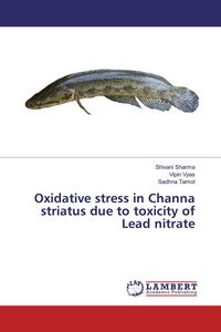 Produktbild: Oxidative stress in Channa striatus due to toxicity of Lead nitrate