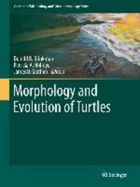 Produktbild: Morphology and Evolution of Turtles
