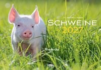 Produktbild: Schweine Kalender 2027