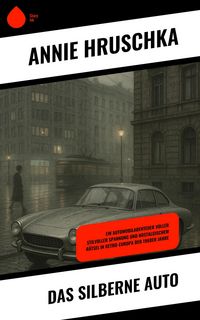 Produktbild: Das silberne Auto