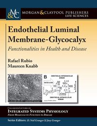 Produktbild: Endothelial Luminal Membrane-Glycocalyx