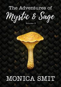 Produktbild: The Adventures Of Mystic & Sage Vol:3