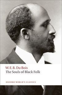 Produktbild: The Souls of Black Folk