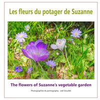 Produktbild: Les fleurs du potager de Suzanne