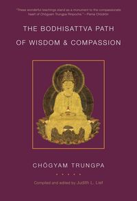 Produktbild: The Bodhisattva Path of Wisdom and Compassion (volume 2)