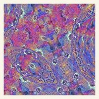 Produktbild: Placenta