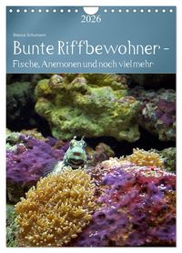Produktbild: Bunte Riffbewohner - Fische, Anemonen und noch viel mehr (Wandkalender 2026 DIN A4 hoch), CALVENDO Monatskalender