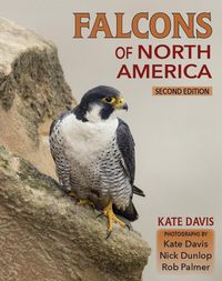 Produktbild: Falcons of North America