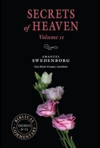 Produktbild: Secrets of Heaven Volume 11