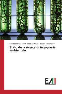 Produktbild: Stato della ricerca di ingegneria ambientale