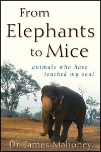 Produktbild: From Elephants to Mice