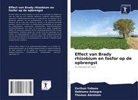Produktbild: Effect van Brady rhizobium en fosfor op de opbrengst