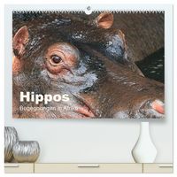 Produktbild: Hippos - Begegnungen in Afrika (hochwertiger Premium Wandkalender 2027 DIN A2 quer), Kunstdruck in Hochglanz