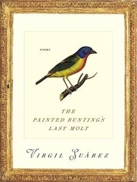 Produktbild: The Painted Bunting's Last Molt