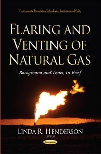 Produktbild: Flaring & Venting of Natural Gas