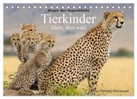 Produktbild: Magie des Augenblicks - Tierkinder - klein, aber wild (Tischkalender 2027 DIN A5 quer), CALVENDO Monatskalender