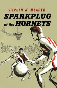 Produktbild: Sparkplug Of The Hornets