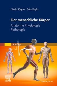 Produktbild: Der menschliche K&ouml;rper