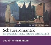 Produktbild: Schauerromantik