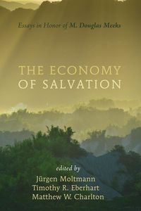 Produktbild: The Economy of Salvation