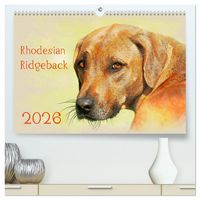 Produktbild: Rhodesian Ridgeback 2026 (hochwertiger Premium Wandkalender 2026 DIN A2 quer), Kunstdruck in Hochglanz