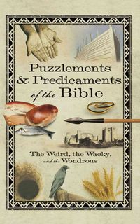 Produktbild: Puzzlements & Predicaments of the Bible