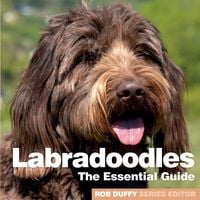 Produktbild: Labradoodles