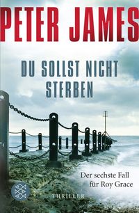 Bild vom Artikel Du sollst nicht sterben / Roy Grace Band 6 vom Autor Peter James