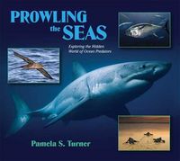 Produktbild: Prowling The Seas