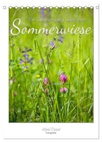 Produktbild: Ein Spaziergang &uuml;ber eine Sommerwiese (Tischkalender 2026 DIN A5 hoch), CALVENDO Monatskalender