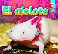 Produktbild: El Ajolote