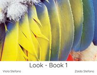 Produktbild: Look - Book 1